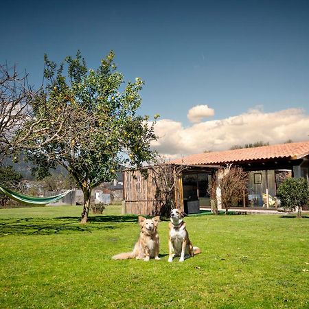 Villa Casa Barros Tui Esterno foto